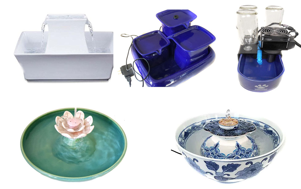 5 Top Ceramic Cat Fountains Compared