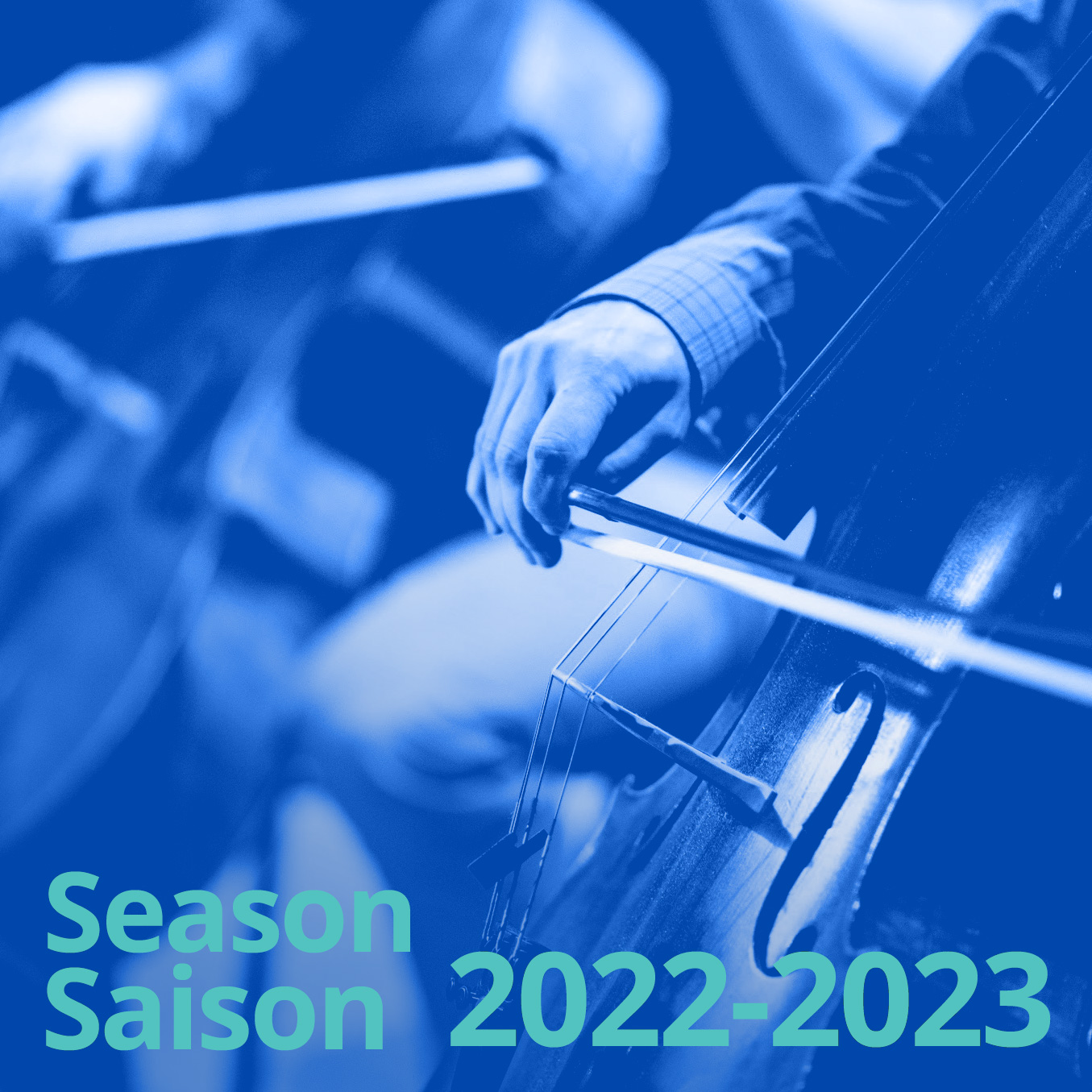 Thirteen Strings Chamber Orchestra Ottawa, ON