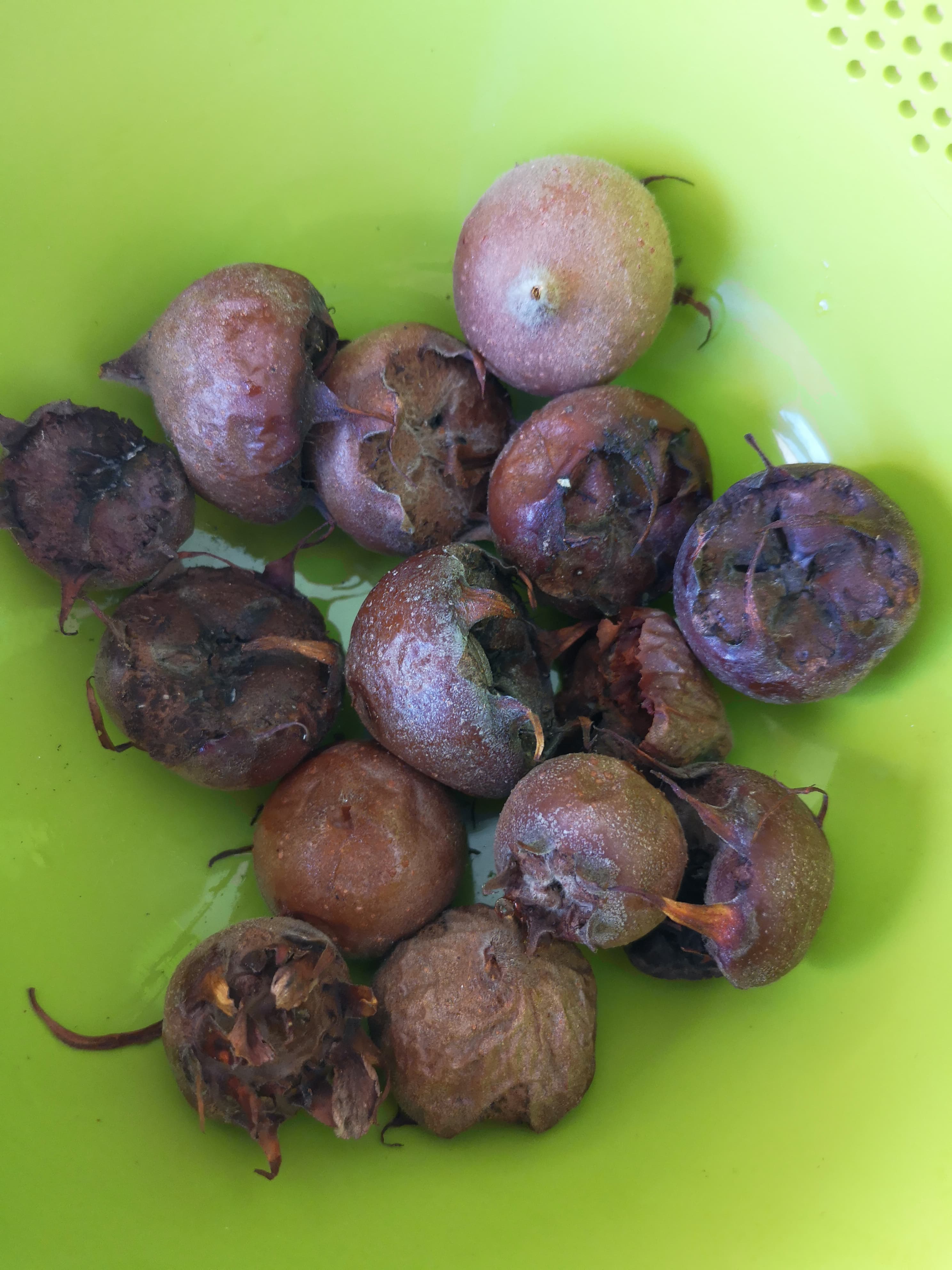 The Easiest Way to Eat Medlar Fruits This Brilliant Day