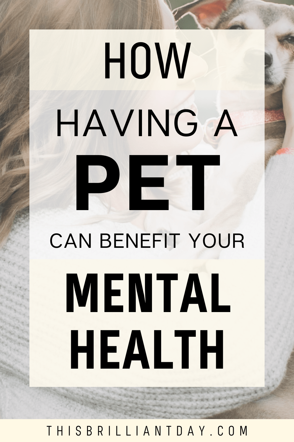 7 Amazing Mental Health Benefits of Owning a Pet This Brilliant Day
