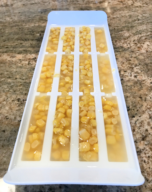 How to make frozen treats for chickens This Central Oregon Life