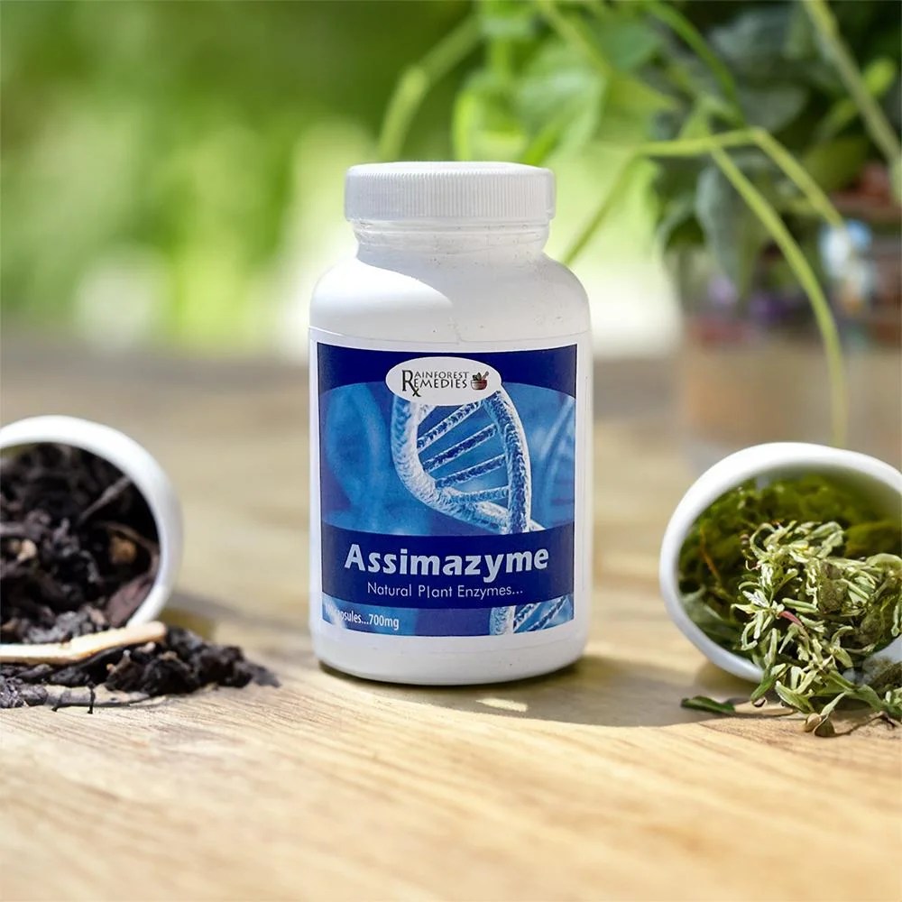 Assimazyme (natural plant enzymes, 100 capsules) This Chick is Raw