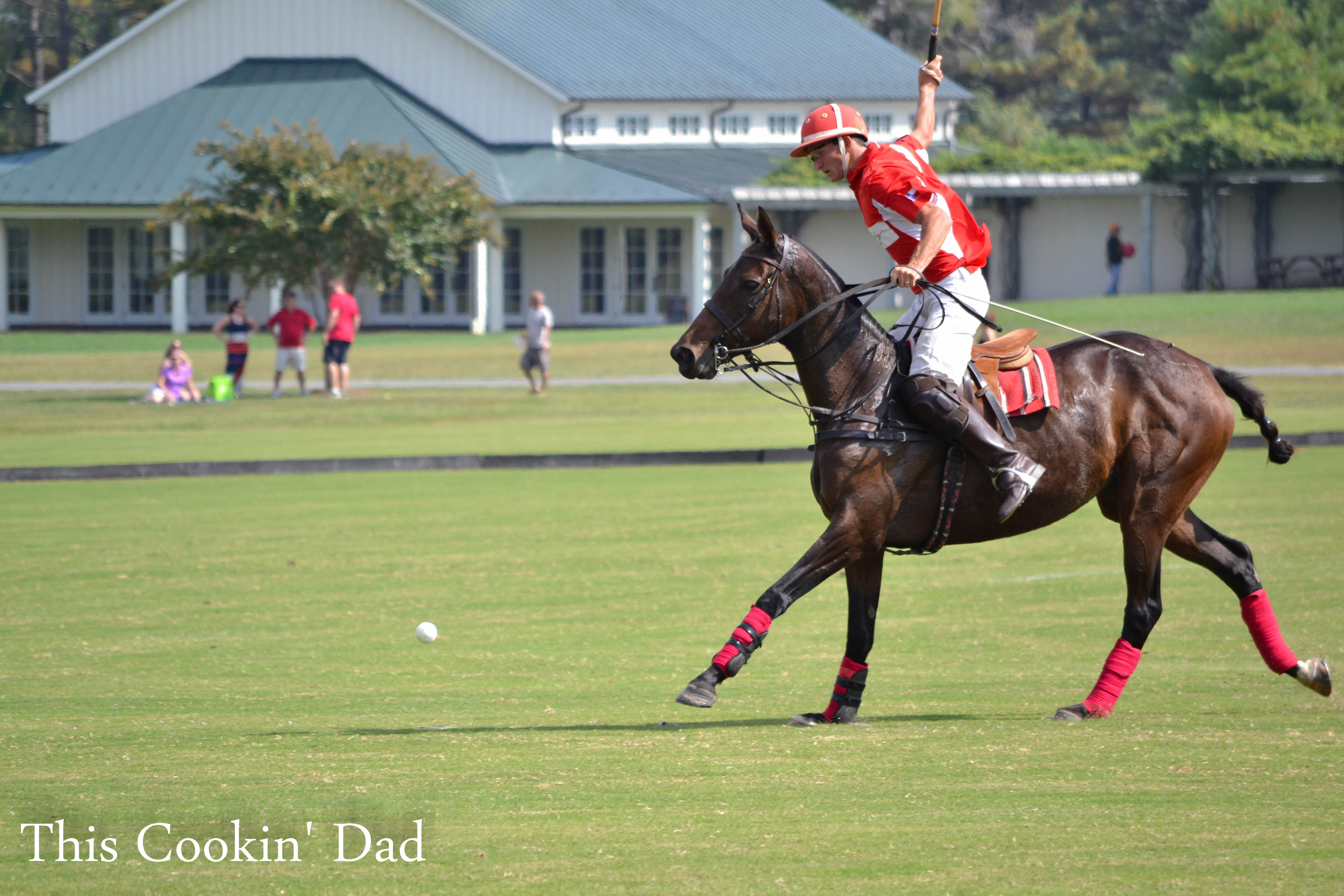 Sunday Photo The Polo Match
