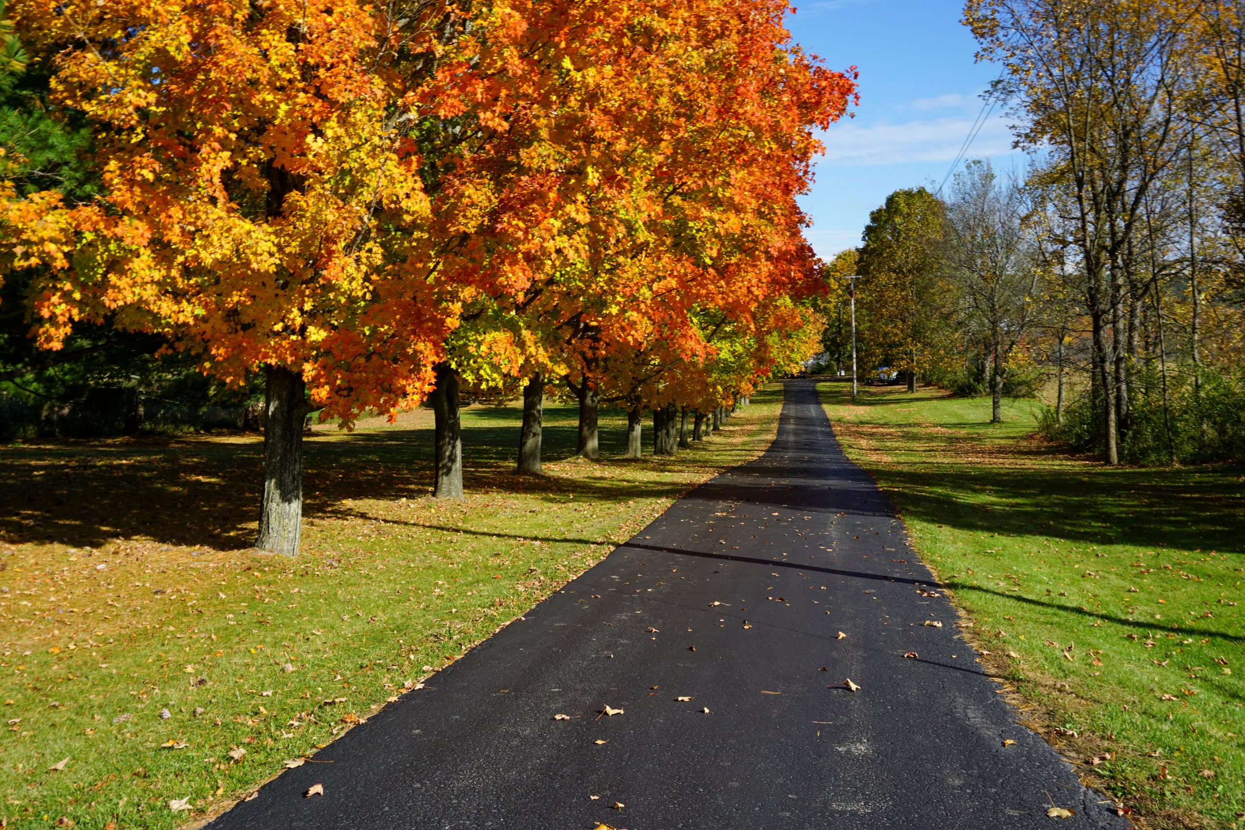 8 Fall Road Trips for Breathtaking Foliage in the USA This Darling World