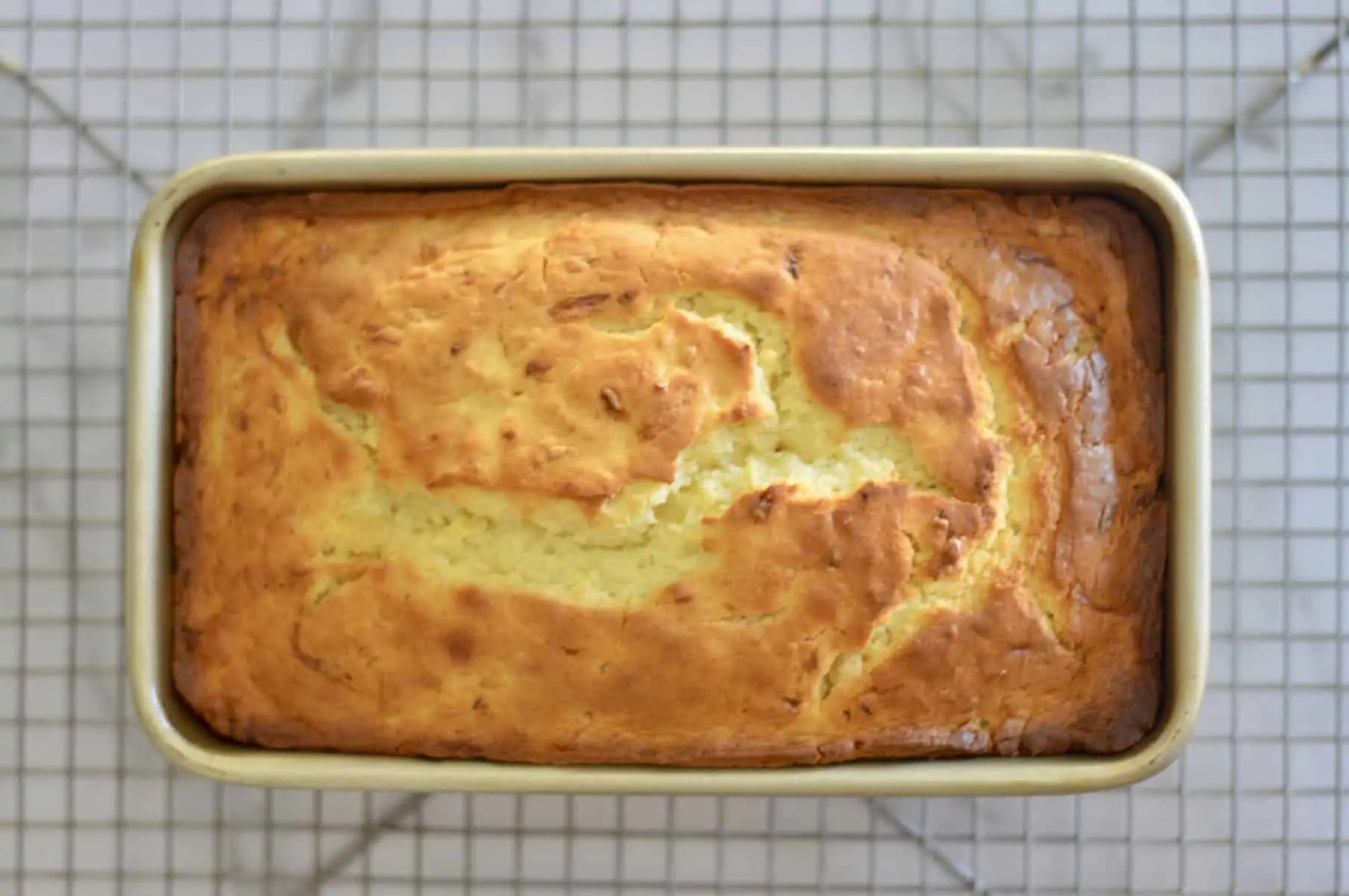 Lemon Summer Squash Bread This Delicious House