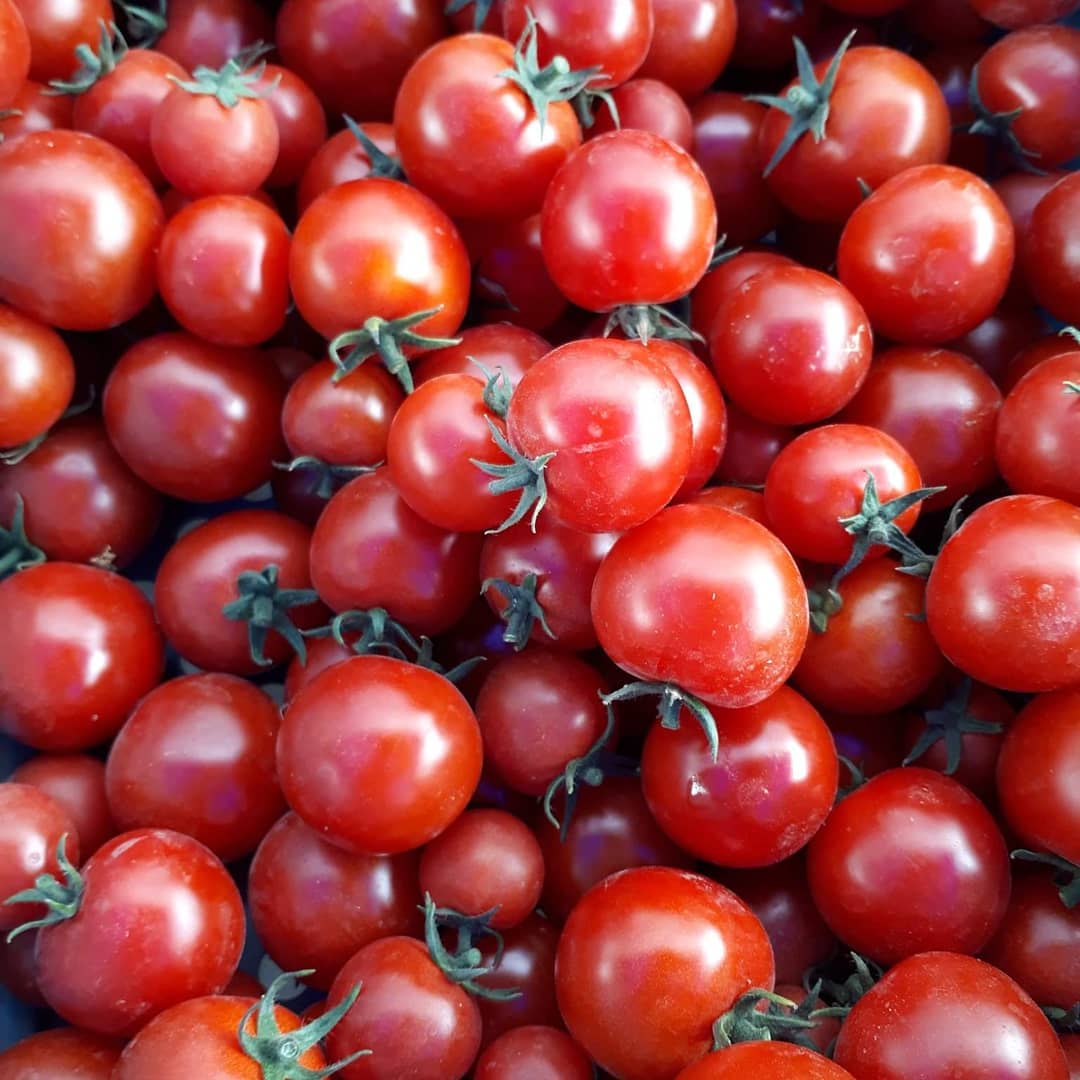 Fertilizing Tomatoes With Epsom Salts Benefits And HowTo