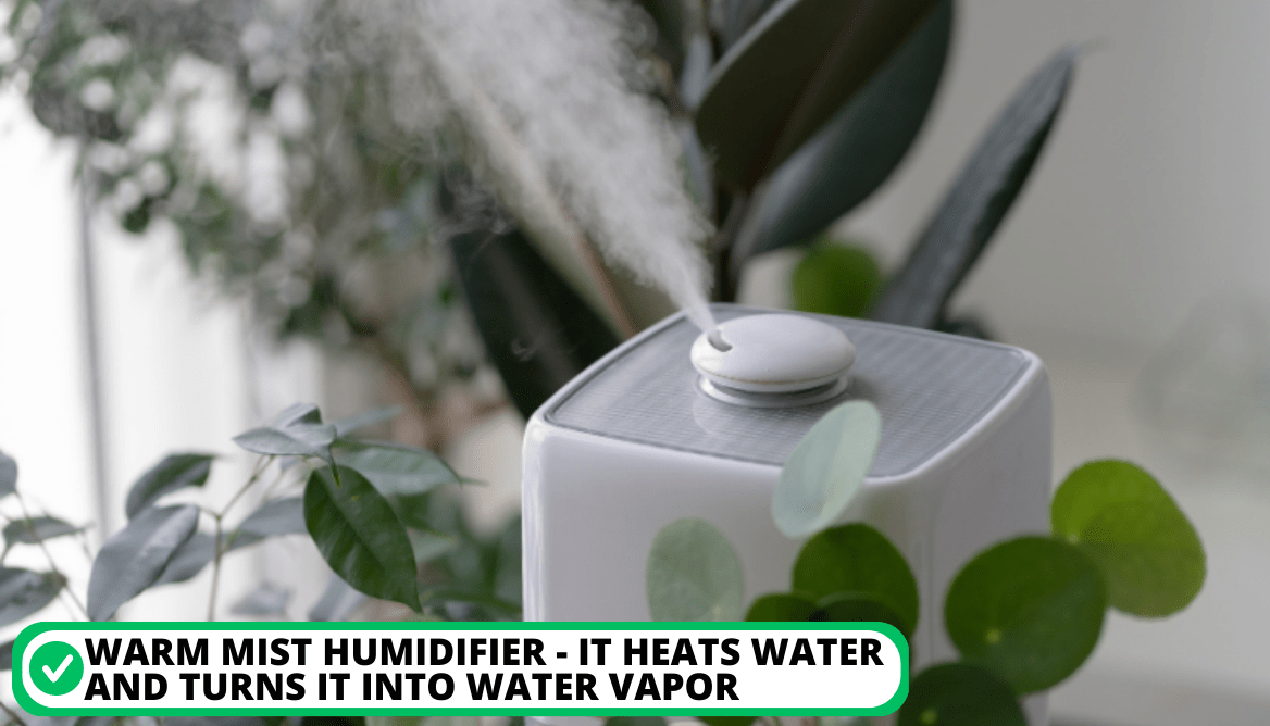 Best Humidifier For Greenhouse 3 MustHave Feature Revealed