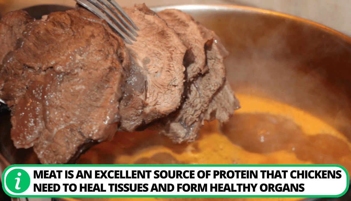 Can Chickens Eat Potatoes Skins 5 Possible Dangers