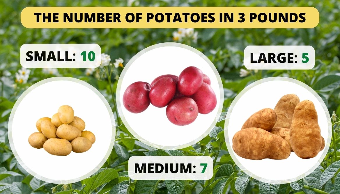 How Many Potatoes In 3 Pounds Find Out Right Now!