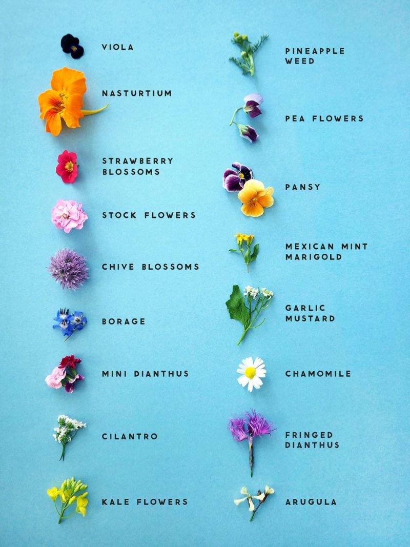 How to Use Edible Flowers This Healthy Table