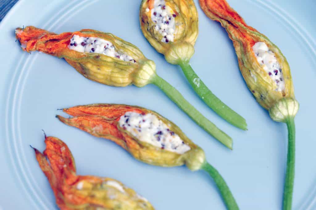 Stuffed Squash Blossoms Recipe This Healthy Table