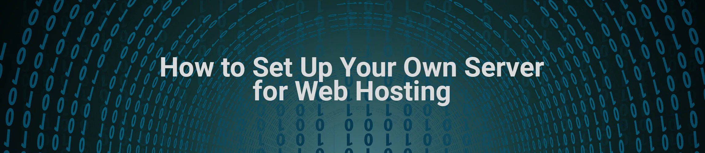 How to Set Up Your Own Server for  Hosting