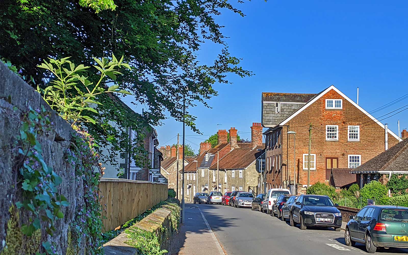 The Alfred Daily 25th June 2021 This is Alfred