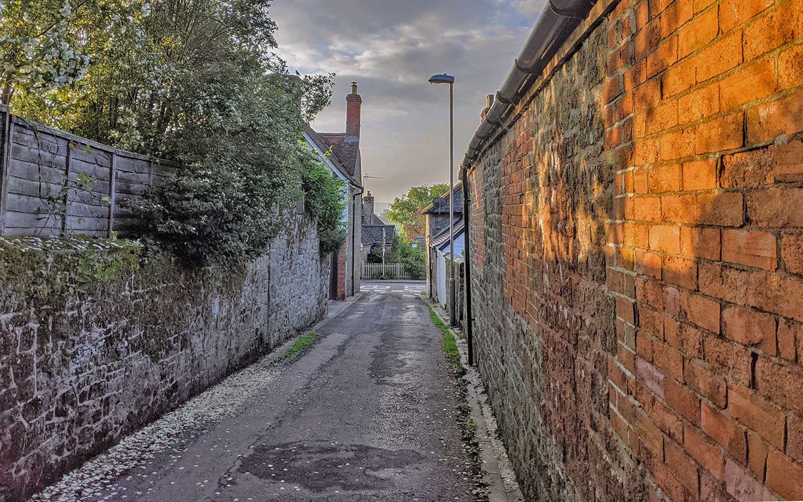 The Alfred Daily 25th August 2021 This is Alfred