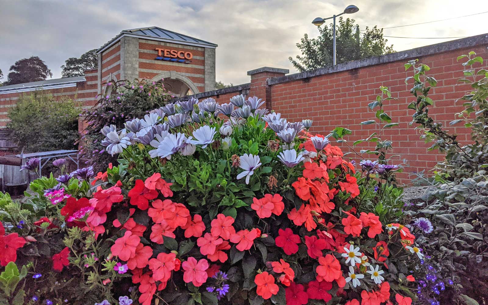 The Alfred Daily 8th September 2021 This is Alfred