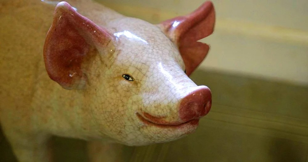 Earmark This Bad Argument Common Sense with Paul Jacob