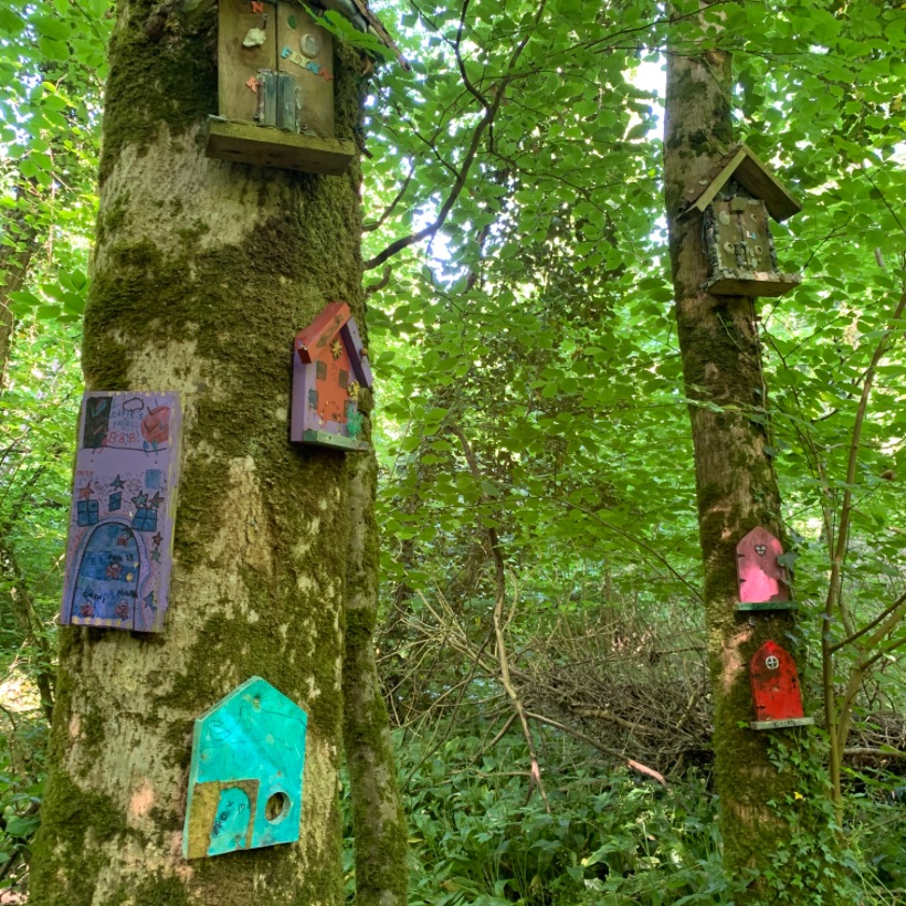 Galway's Best Playgrounds & Parks for Children This is Galway