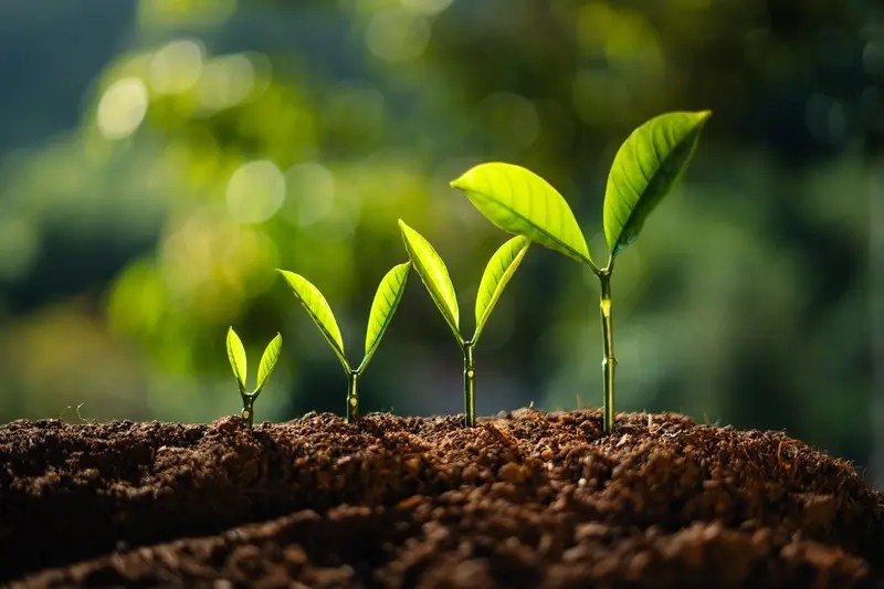 How Long Does It Really Take to Build a Mobile App?