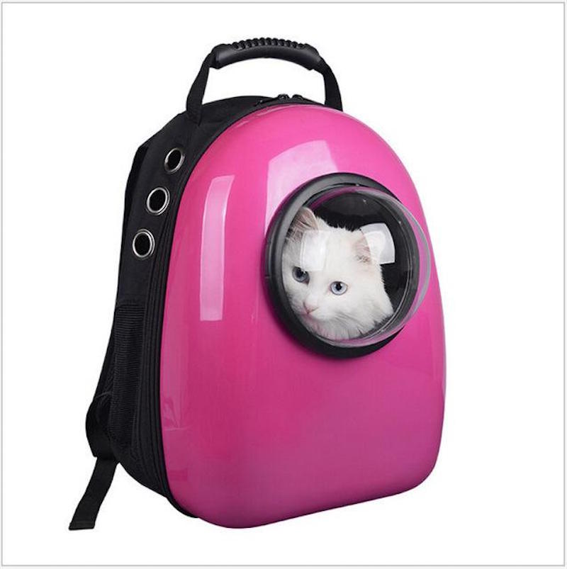 Your Cat Backpack Take Your Feline Friend on All Your Adventures