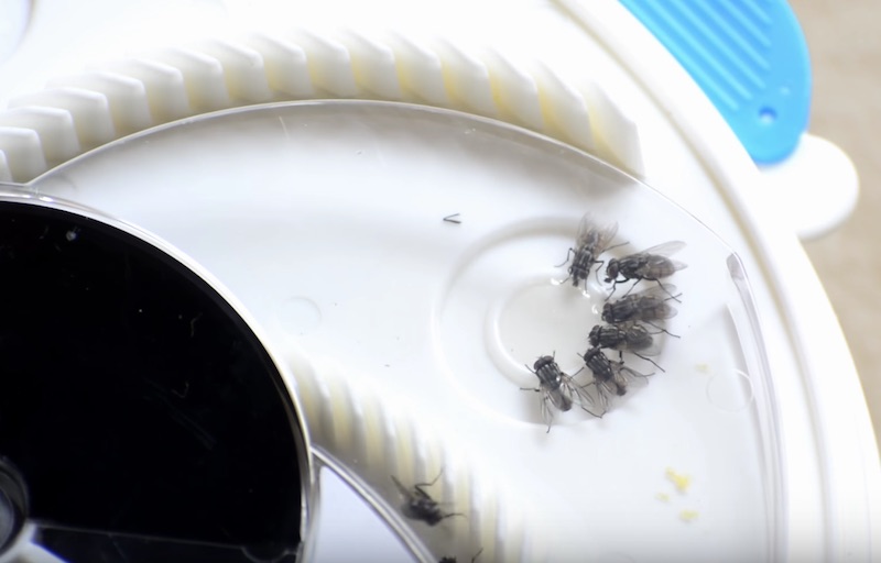 Electronic Housefly Trap Keep Your Home FlyFree