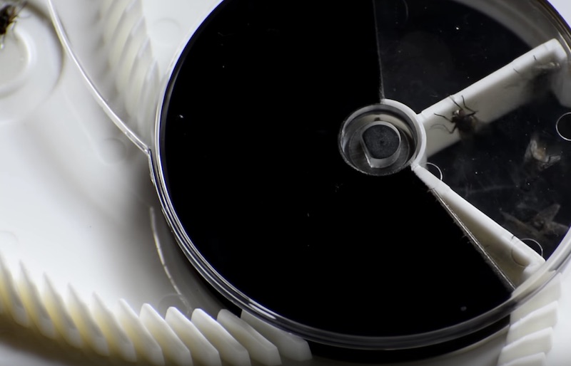 Electronic Housefly Trap Keep Your Home FlyFree