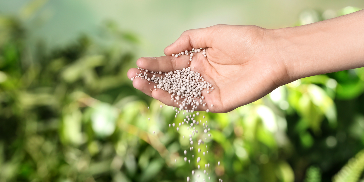 Why NOT To Fertilize Perennial Plants In The Fall!
