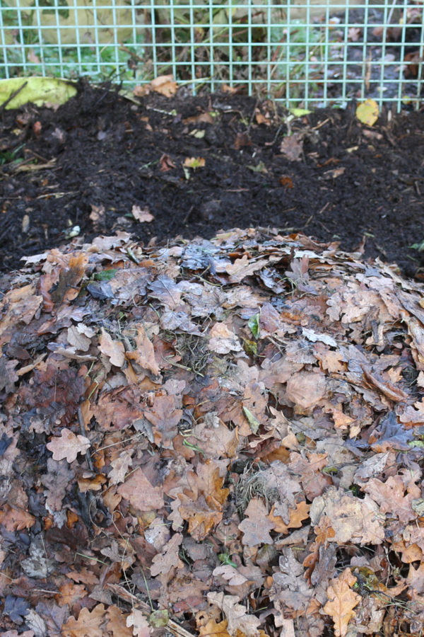 How To Create A Great Fall Compost Pile Make Compost For Next Year!