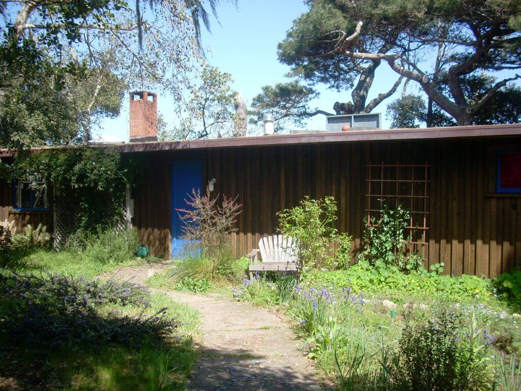 The Beauty of Point Reyes