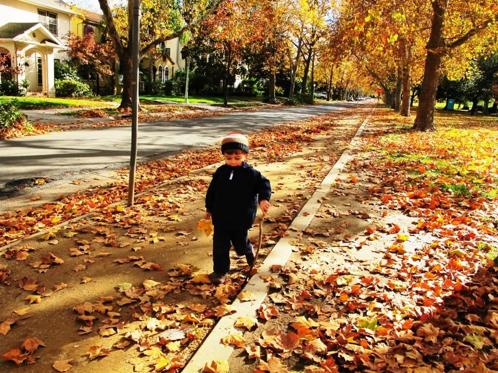 What to Do in Northern California This November