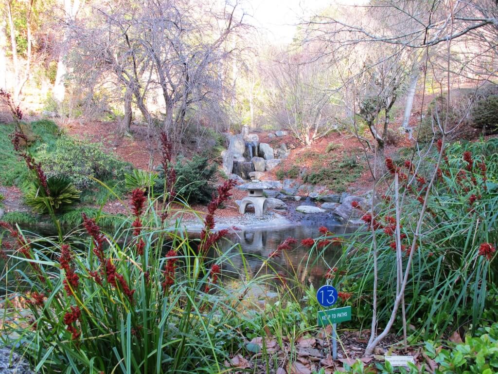 Botanical Gardens at UC Berkeley