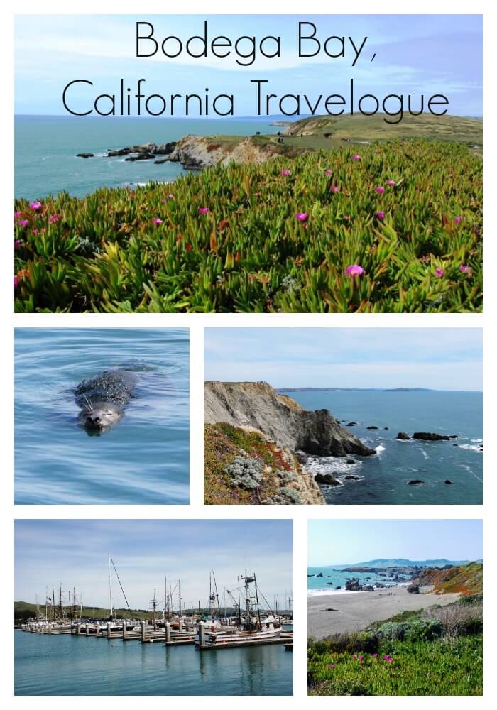 A Weekend in Bodega Bay