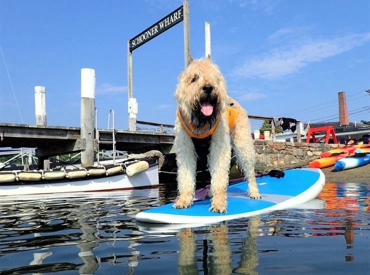 Things To Do This Is Mystic, CT