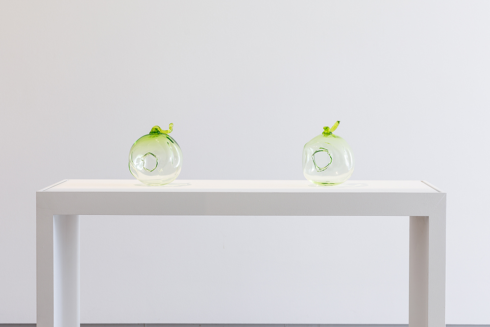 TarraWarra Museum of Art Looking Glass Yhonnie Scarce and Judy Watson This Is No Fantasy