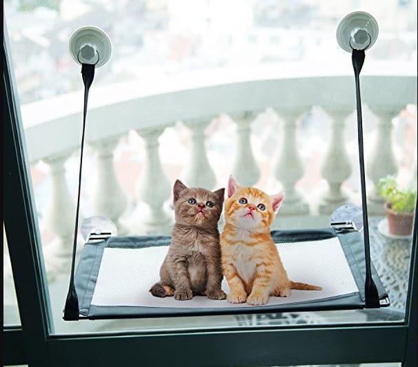 A Buyer’s Guide and Reviews For the Best Cat Window Perch 20202021