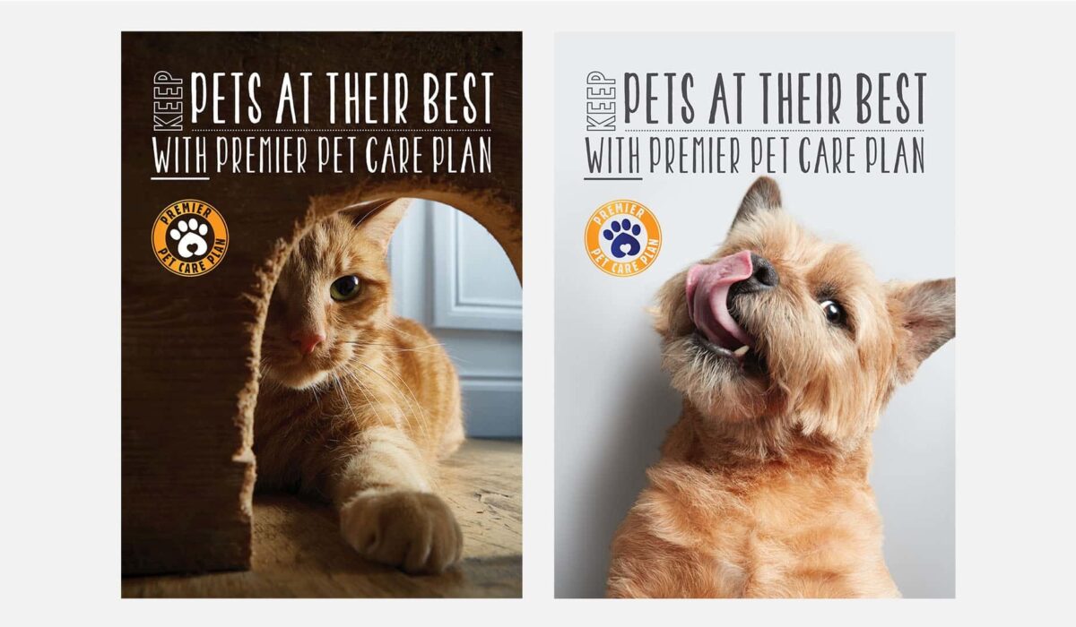 Premier Pet Care Plan The Foundry