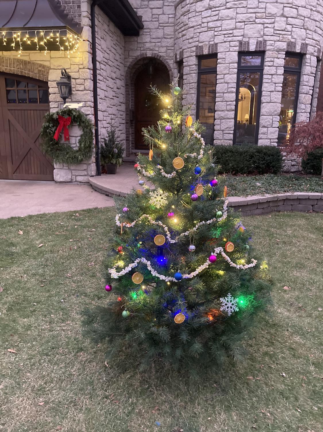 This Is York Front Yard Tree Tradition brings holiday cheer
