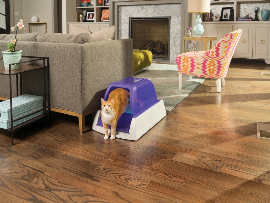 Introducing ScoopFree Ultra SelfCleaning Litter Box featuring