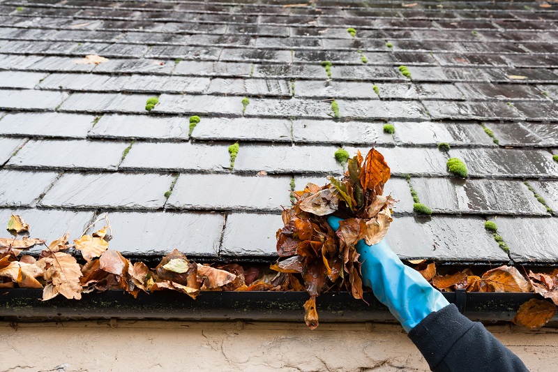 Tips for Doing Your Own Gutter Cleaning This Lady Blogs