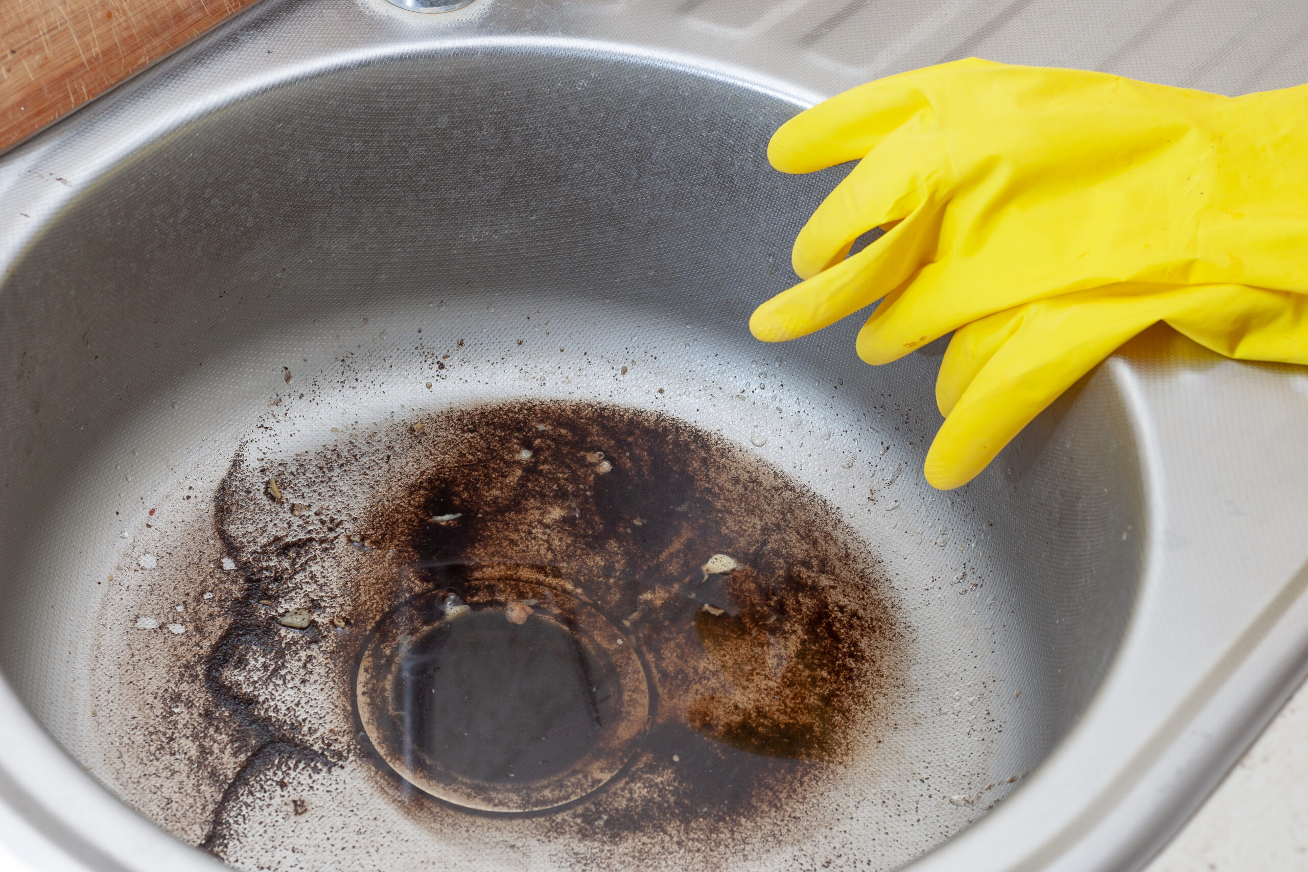 5 Tips To Clean Your Drain This Lady Blogs