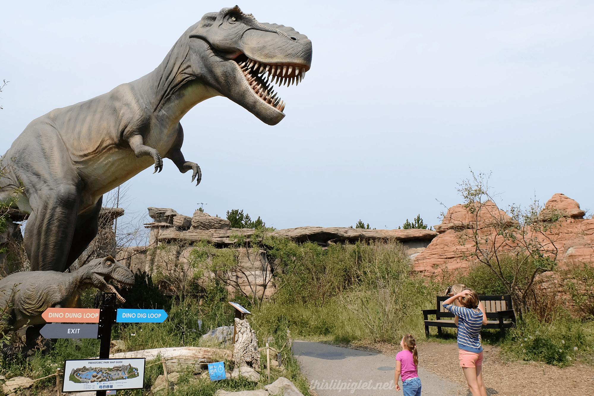 Family Travel Calgary Alberta Family Activities This Lil Piglet