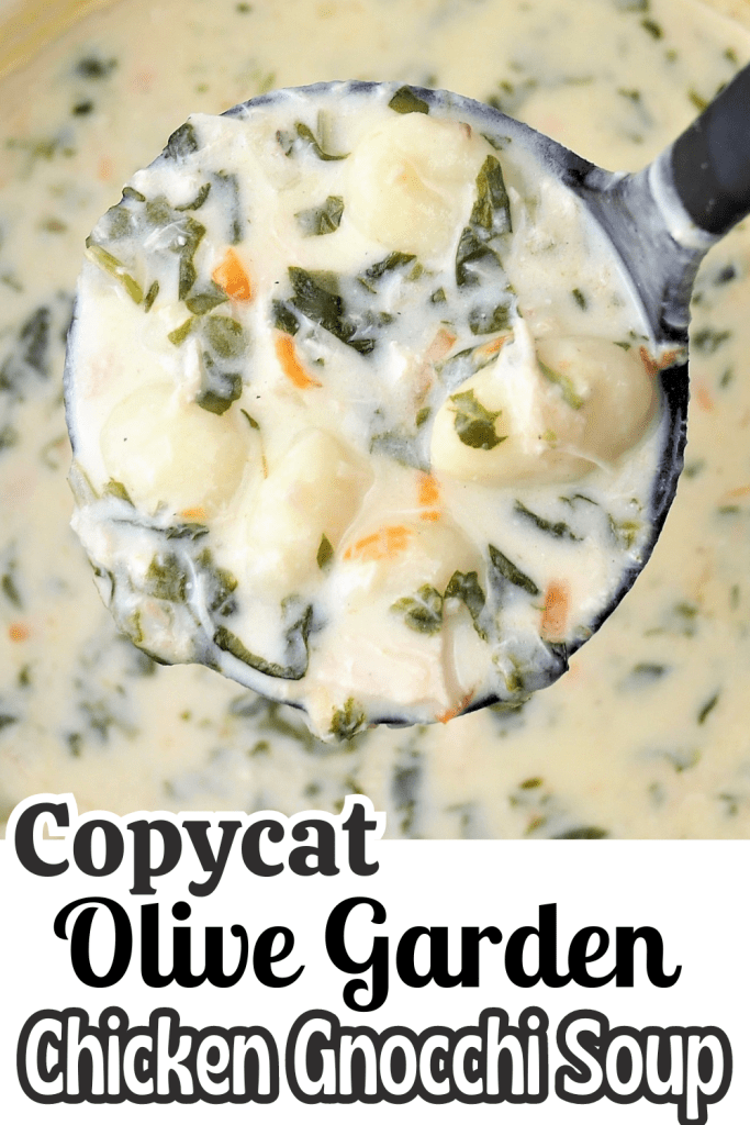 Copycat Olive Garden Chicken Gnocchi Soup (stovetop) This Mom Cooks