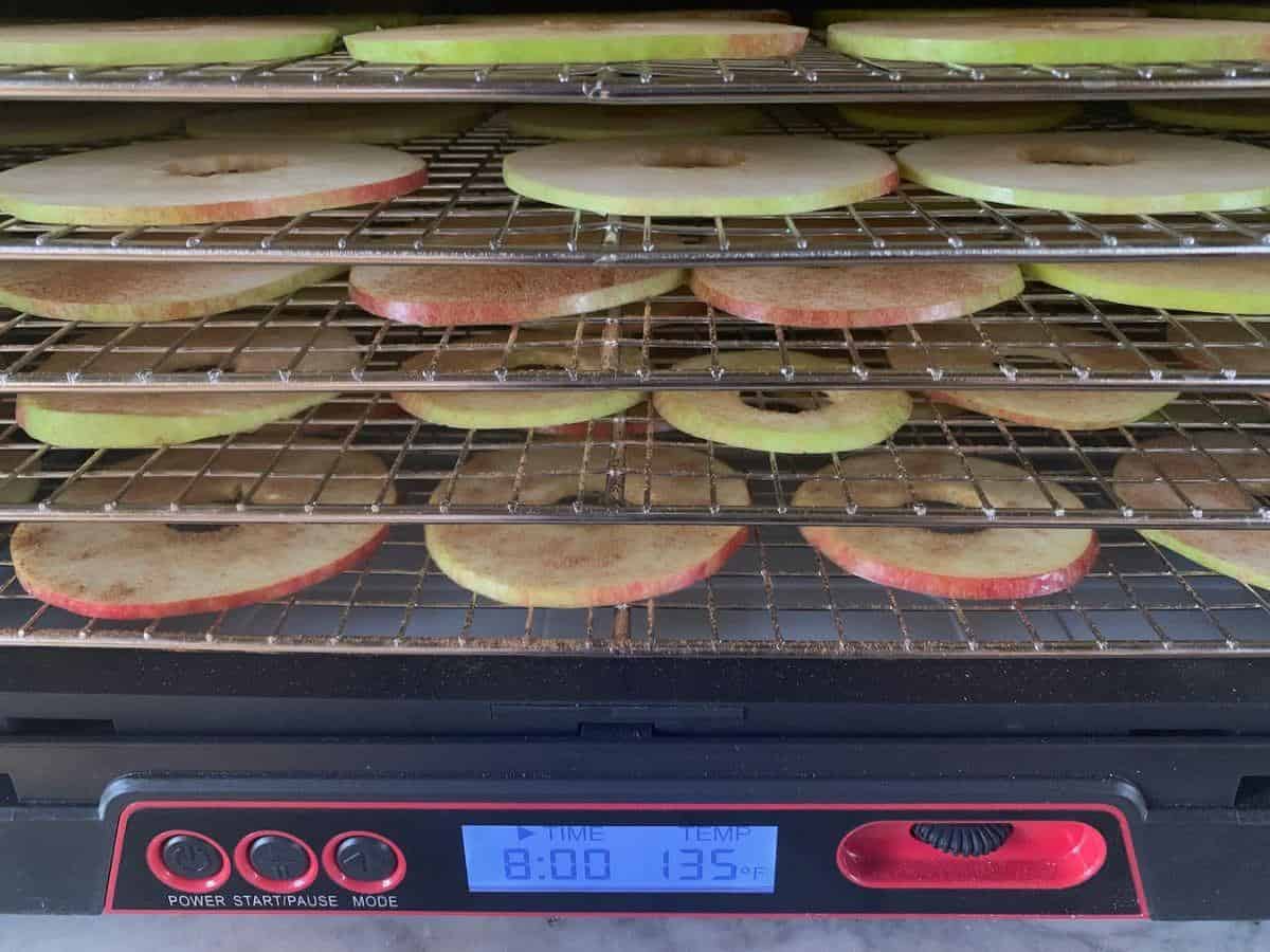 EASY Dehydrated Cinnamon Apples [Oven + Dehydrator]