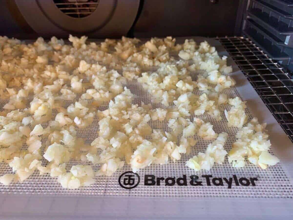 Easy Guide to Dehydrating Garlic + Making Garlic Powder!