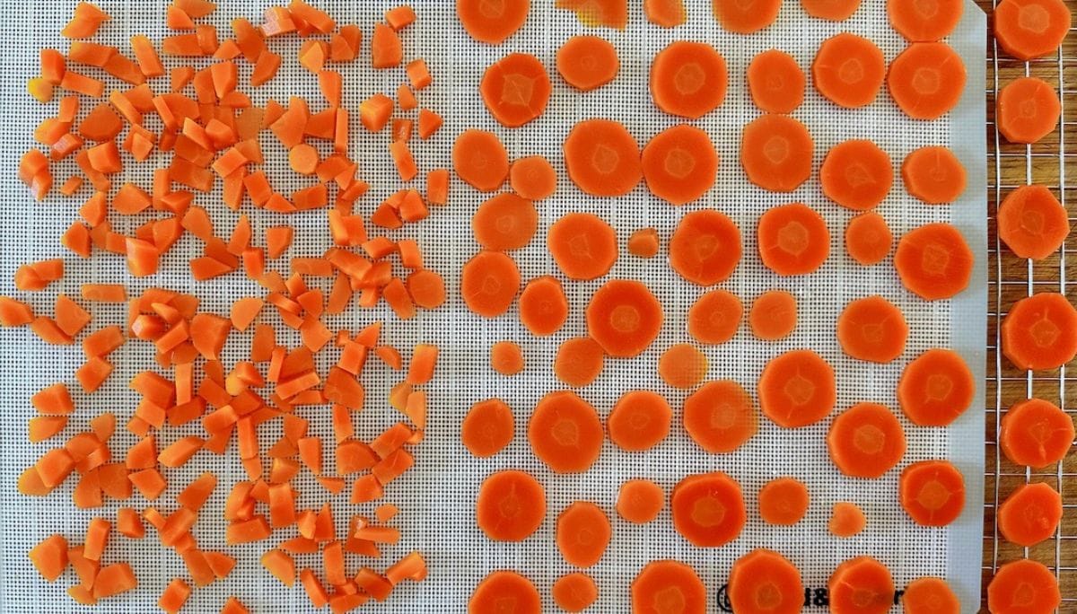 Easy StepbyStep Guide for Dehydrating Carrots