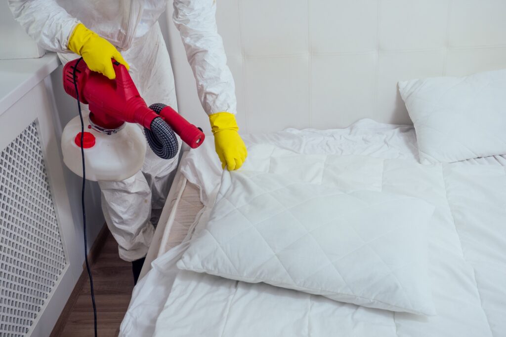 How Much Does a Bed Bug Exterminator Cost? (2023)