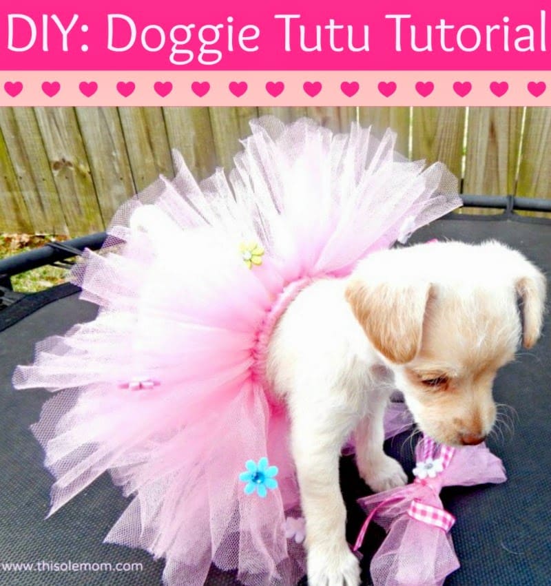 DIY Doggie Tutu Tutorial This Ole Mom