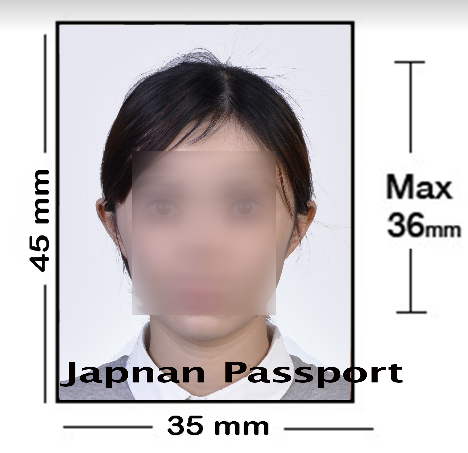 Japan Passport Photo NYC ThisPix Passport Photo & Professional