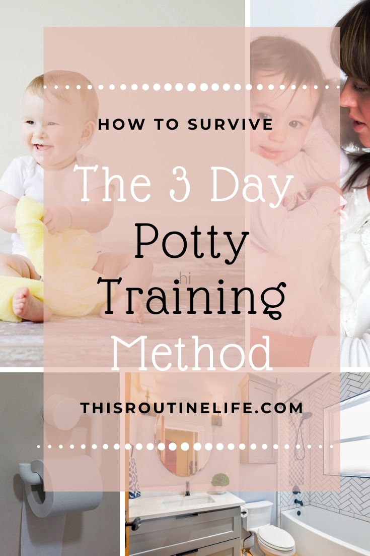 How to Survive the 3 Day Potty Training Method This Routine Life