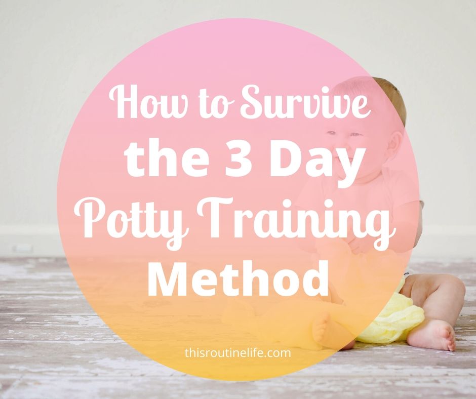 How to Survive the 3 Day Potty Training Method This Routine Life