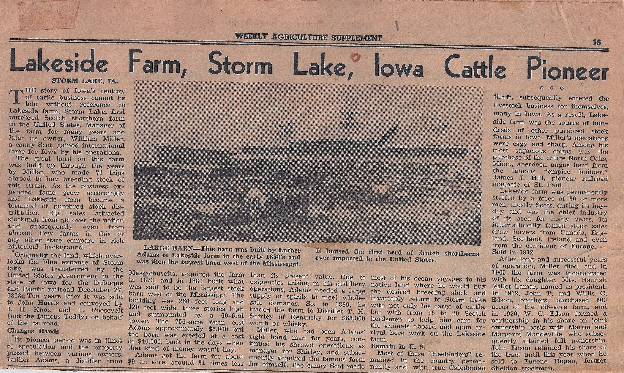 Thistle Ha’ » “Atha” Willie Miller and Lakeside Stock Farm